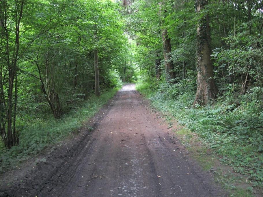 Gite Rural "L'Anseromia" ディナン エクステリア 写真